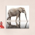 Tableau Elephant Miroir